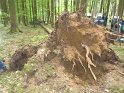 Maibaum_2018 (38)